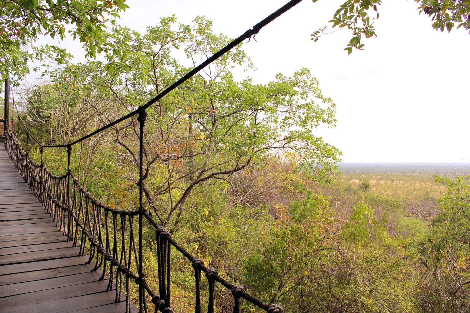Elsa Kopje, Meru National Park — image 6 of 30